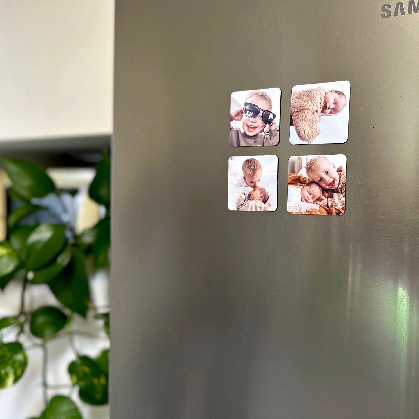 Fridge Magnets